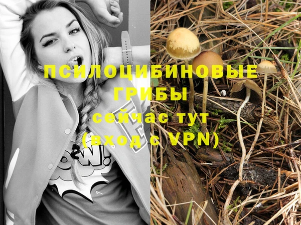ECSTASY Нефтекумск