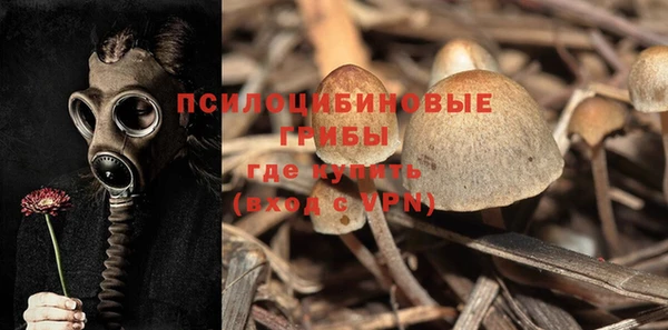 первитин Абинск