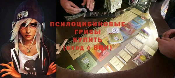 PSILOCYBIN Абаза